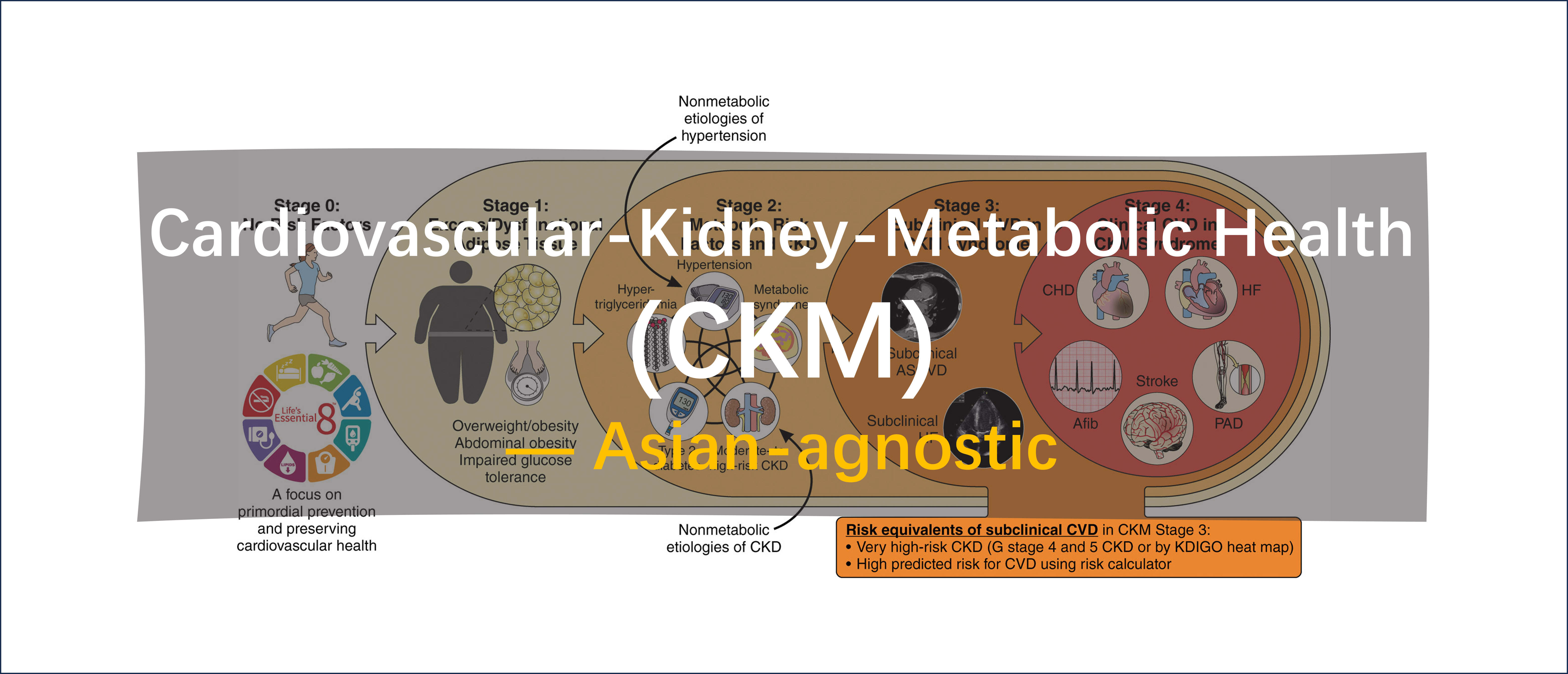 NHANES — 心血管-肾-代谢综合征（CKM）（二）—— 不区分亚裔